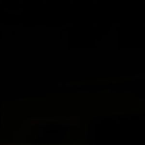 Meet your Posher, Rylee